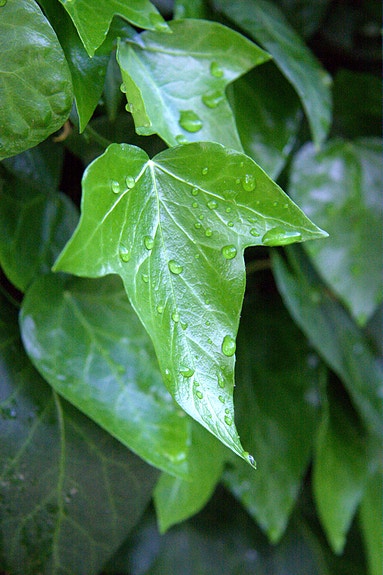 Product image 37 of 37