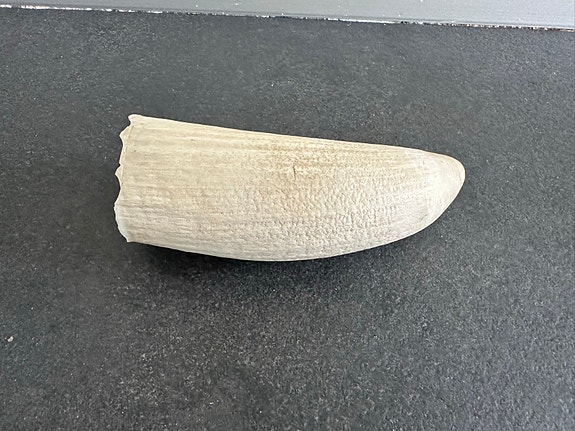 Product image 14 of 14