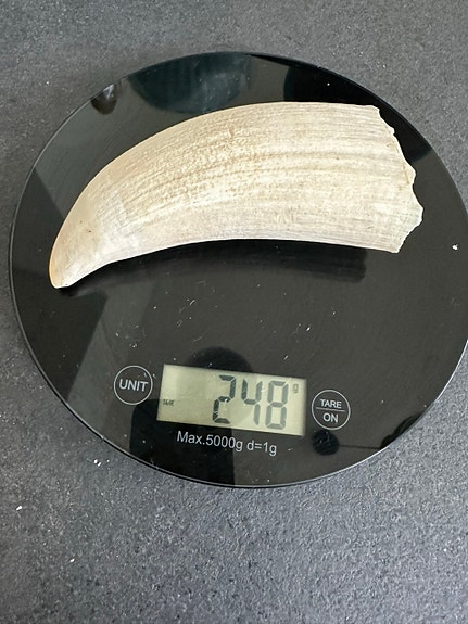 Product image 10 of 14