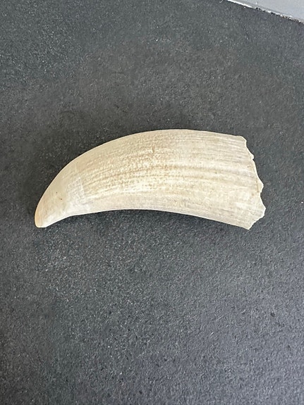 Product image 6 of 14