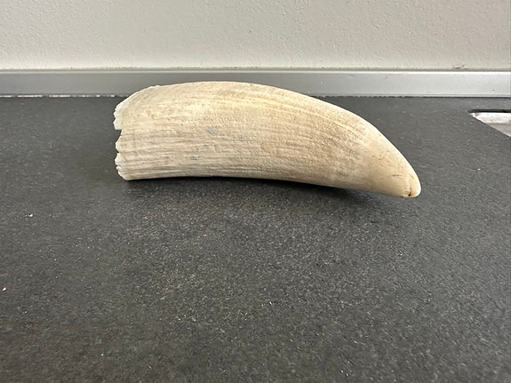 Product image 13 of 14