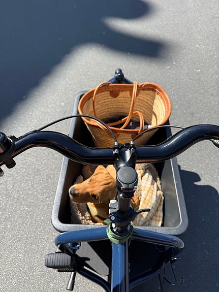 Product image 19 of 19