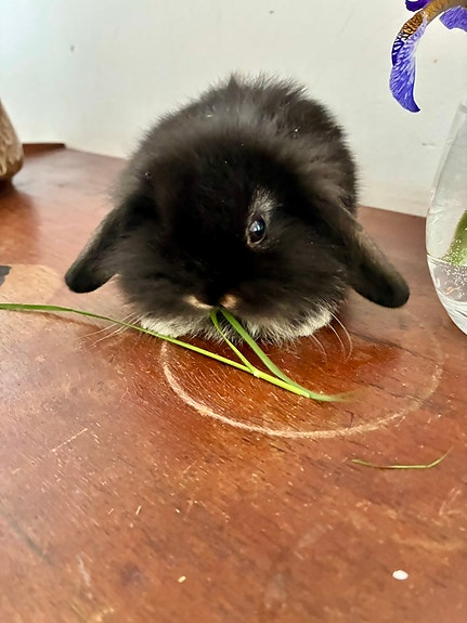 Product image 23 of 23