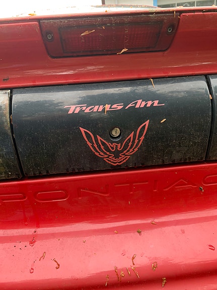 Pontiac Trans Am 1994 photo 3