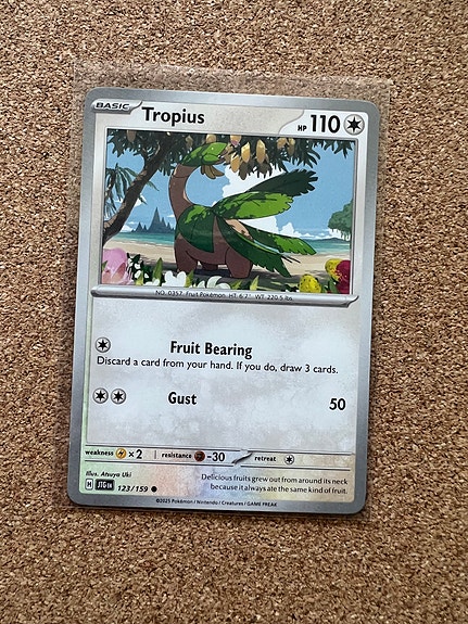 Product image 5 of 30