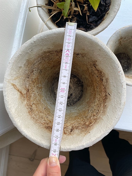 Product image 11 of 11