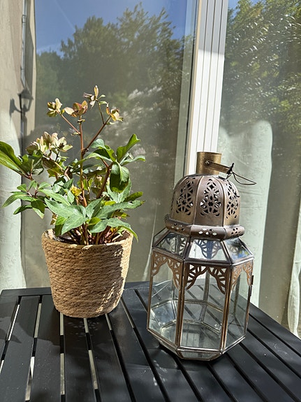 Product image 12 of 12