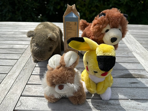 Product image 3 of 4