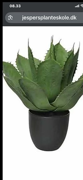 Product image 20 of 32