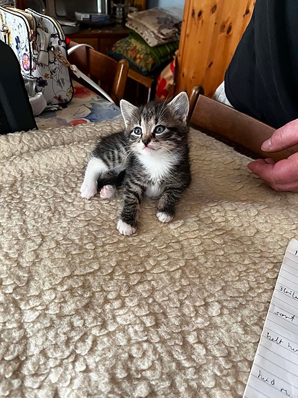 Product image 4 of 14