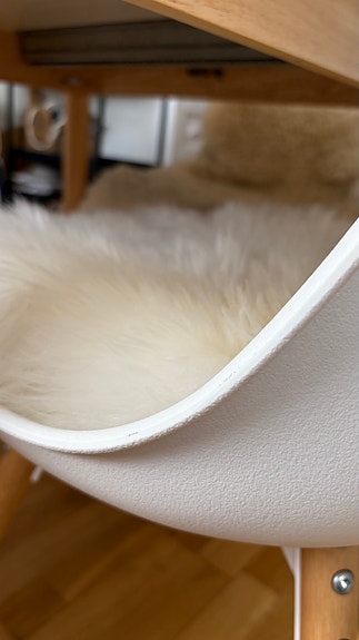 Product image 11 of 13