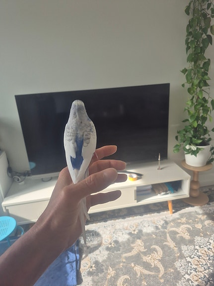 Product image 7 of 11