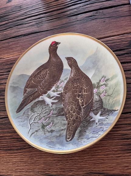 Product image 6 of 11