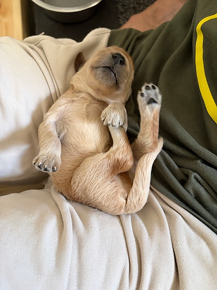 Product image 23 of 25