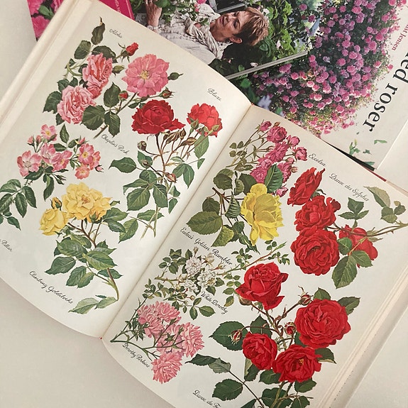 Product image 16 of 18