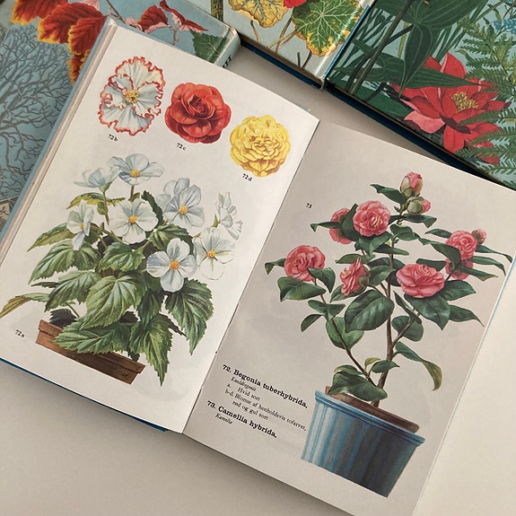 Product image 32 of 33
