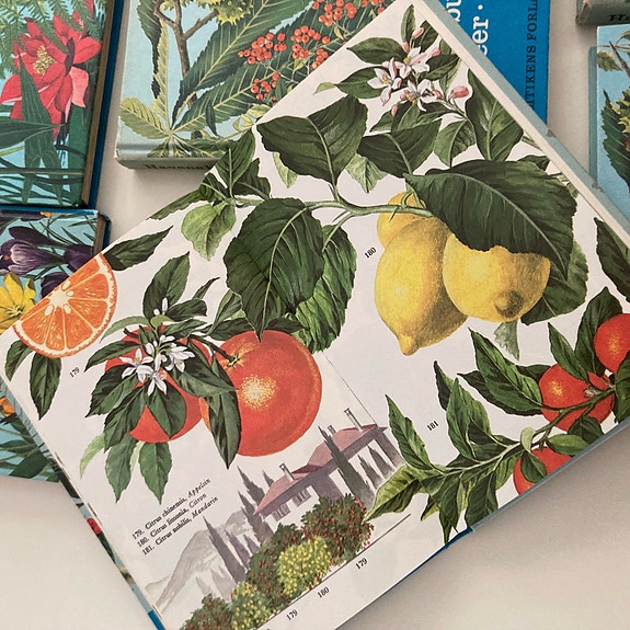 Product image 22 of 33
