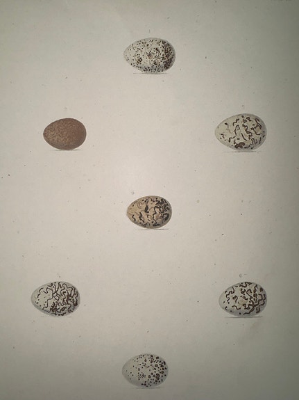 Product image 20 of 32
