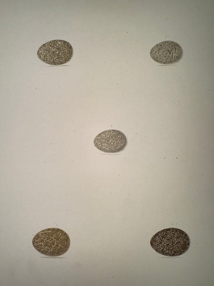 Product image 8 of 32