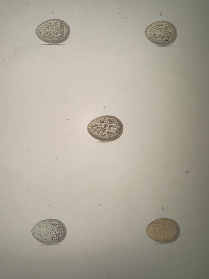 Product image 4 of 32
