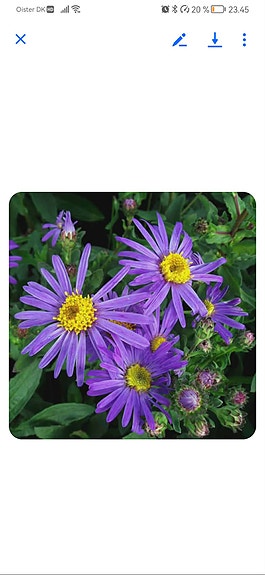 Product image 7 of 92