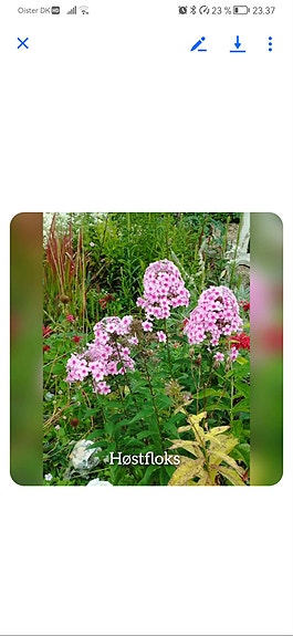 Product image 15 of 92