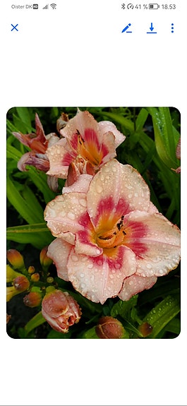 Product image 4 of 92