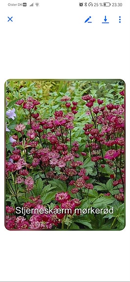Product image 9 of 92