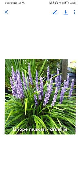 Product image 13 of 92