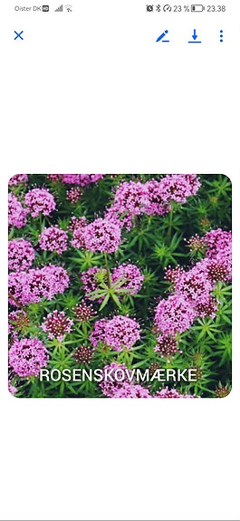 Product image 11 of 92
