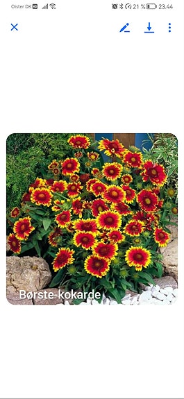 Product image 5 of 92