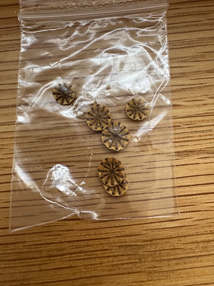 Product image 3 of 18
