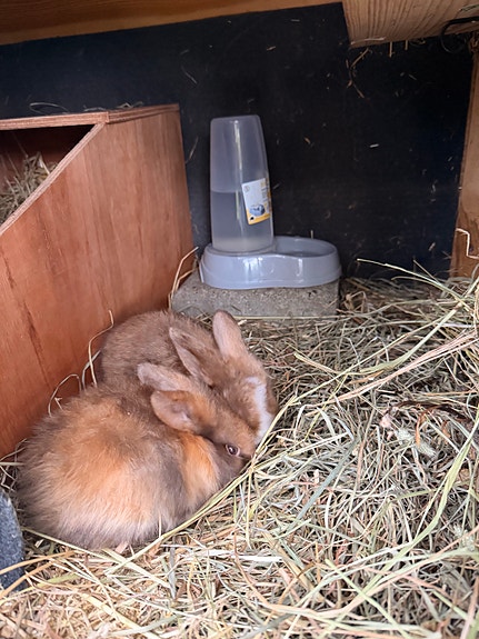 Product image 11 of 12