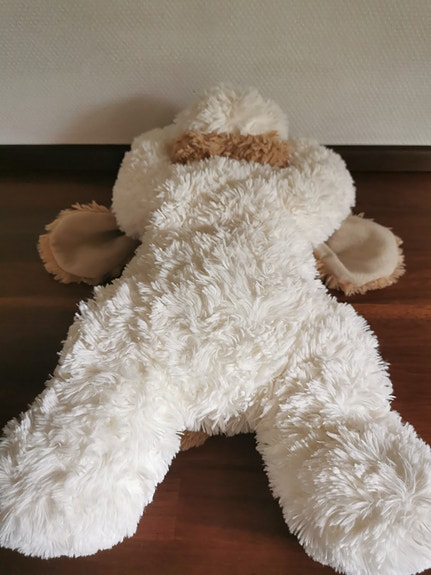 Product image 24 of 24