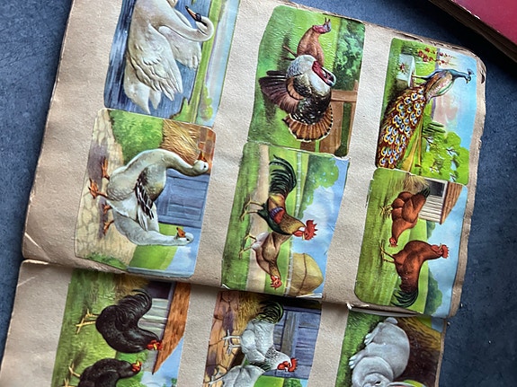 Product image 18 of 24