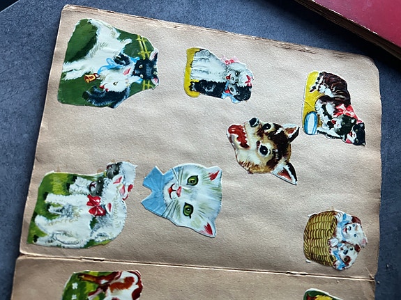 Product image 11 of 24