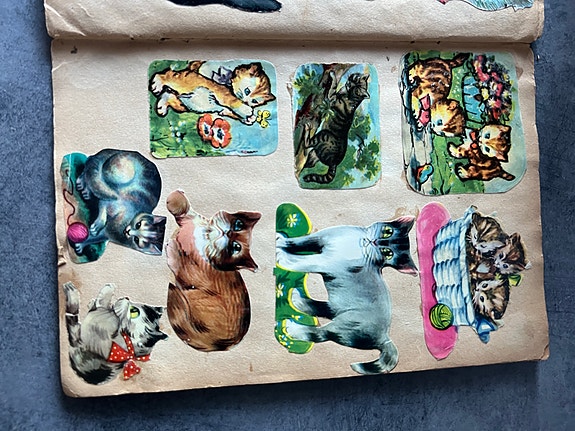 Product image 22 of 24