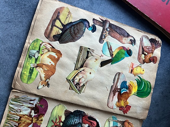 Product image 17 of 24