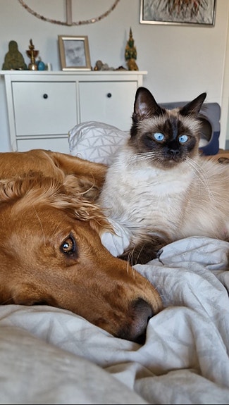 Product image 3 of 11