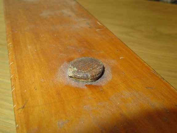 Product image 12 of 21