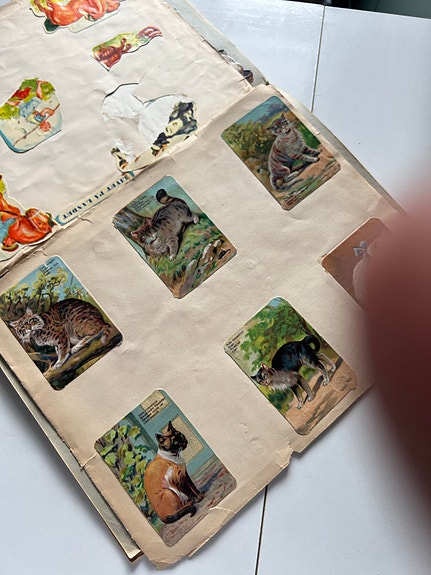 Product image 13 of 24