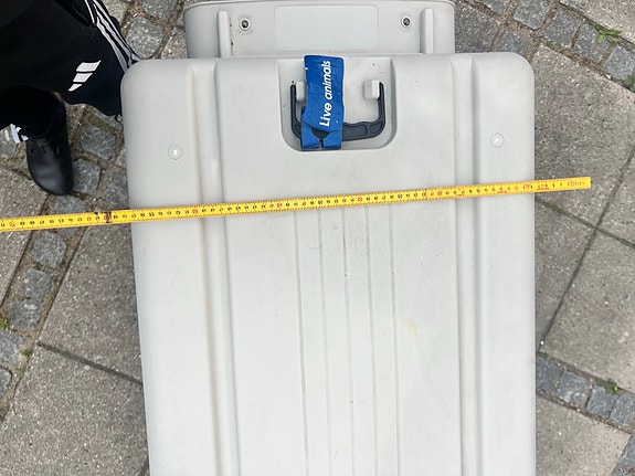 Product image 9 of 11
