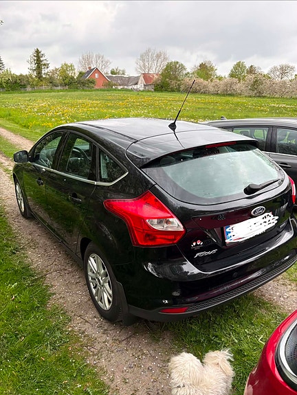 Ford Focus 2012 photo 3