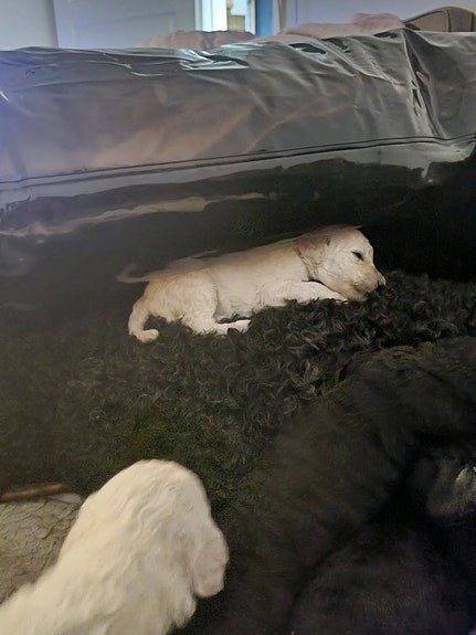 Product image 6 of 11