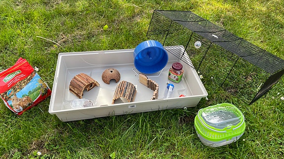 Product image 2 of 7