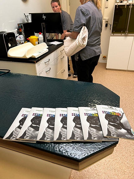 Product image 16 of 16