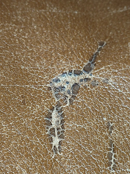 Product image 12 of 12