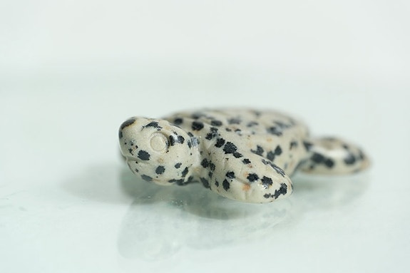 Product image 3 of 11