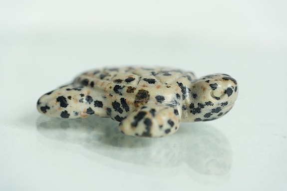Product image 6 of 11