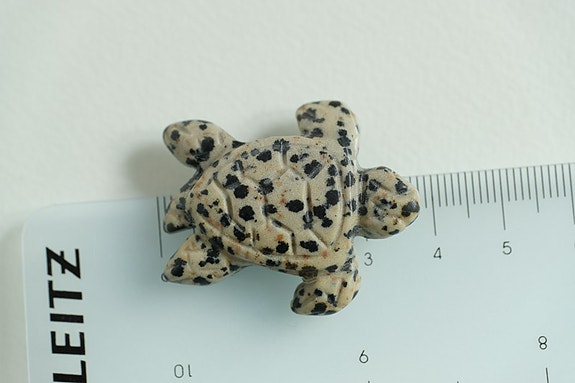 Product image 10 of 11